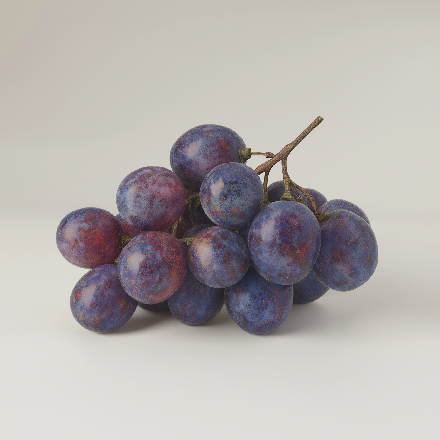 Cluster of ripe purple grapes growing on the vine in warm light